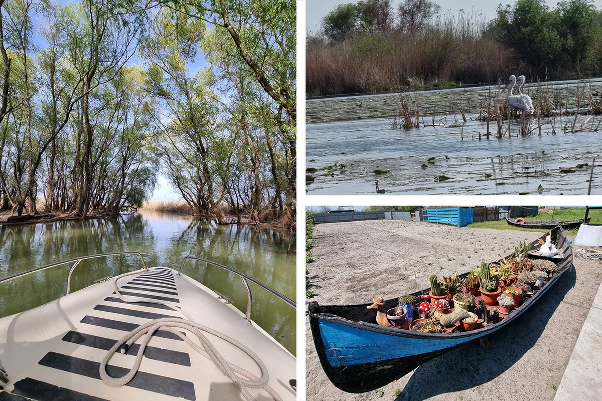 Tours / Excursions in the Danube Delta